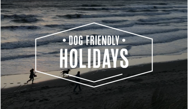 Our Guide to the Perfect Dog Friendly Holiday in Devon